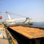 Экспортные поставки сельскохозяйственной продукции через порты Азово-Черноморского бассейна